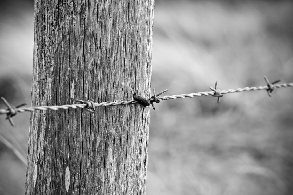 fence, wooden fence, wood-3614610.jpg